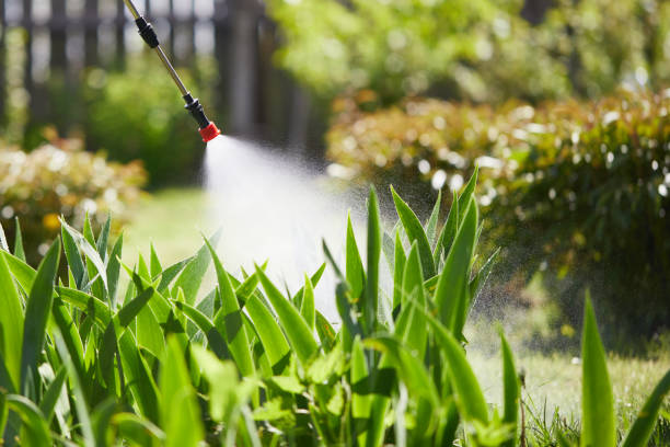 24/7 Emergency Mosquito Control experts in Park City, TN